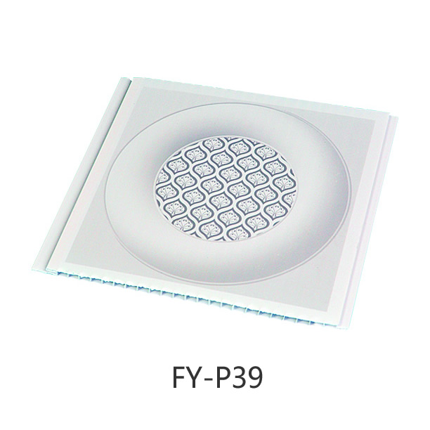 FY-P39